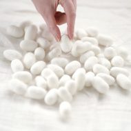 大醐：優しい名古屋 “やさなご”  大醐がブランドパートナーになりました。