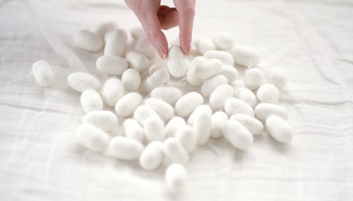 大醐：優しい名古屋 “やさなご”  大醐がブランドパートナーになりました。